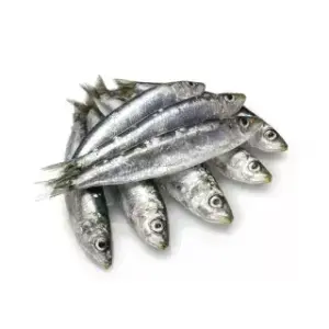 Al Fouad Boneless Sardine (Salted Sardine)
