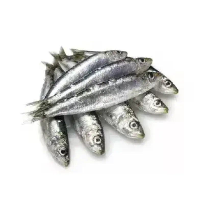 Al Fouad Boneless Sardine (Salted Sardine)
