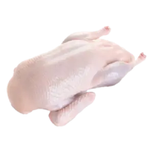Duck Frozen Halal 1Pc