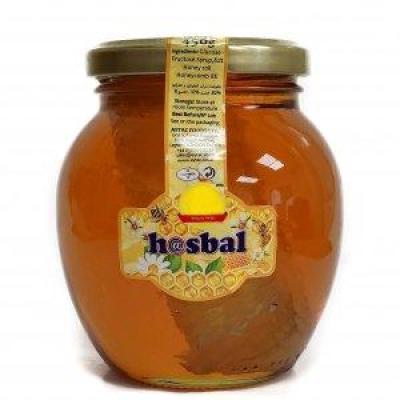 Hasbal With Comb Honey (450 gr)