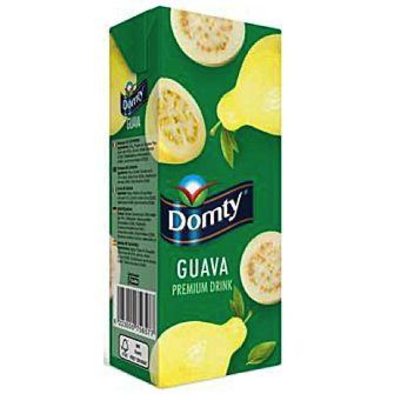Domty Guava Nectar