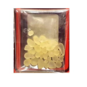 Abido Greek Mastic 1Pag 5g