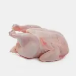 Baby Chicken Halal Whole دجاجة كاملة