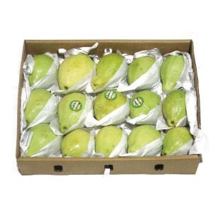 Fresh Egyptian Guava Fruit Box - Apx 2.7Kg