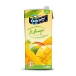 Domty Mango Nectar 1 ltr