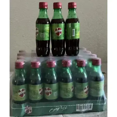 Pasgianos Drink 12 x 310ml