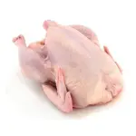 Roaster Halal Chicken