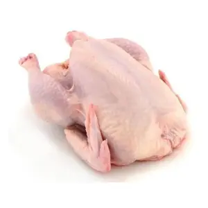 Roaster Halal Chicken