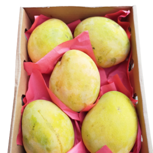 Egyptian Jasmine Mango - apx 2kg