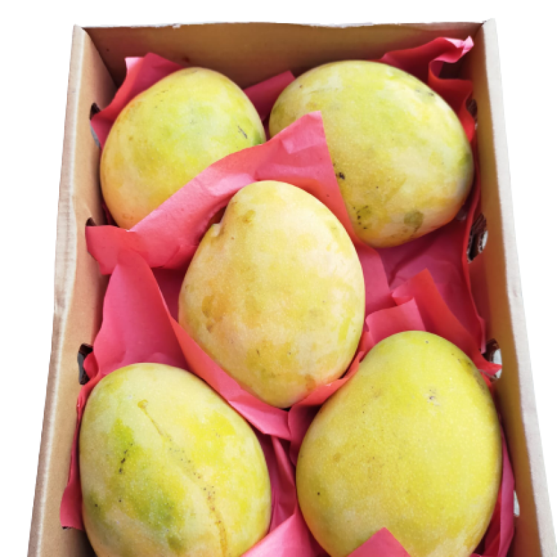 Egyptian Jasmine Mango - apx 2kg