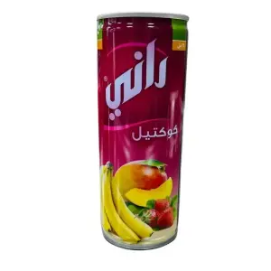 Rani Cocktail Juice Yemeni 250ml راني عصير الكوكتيل