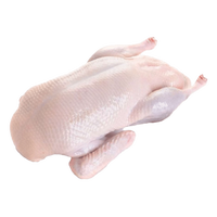 1Pc بطة كاملة