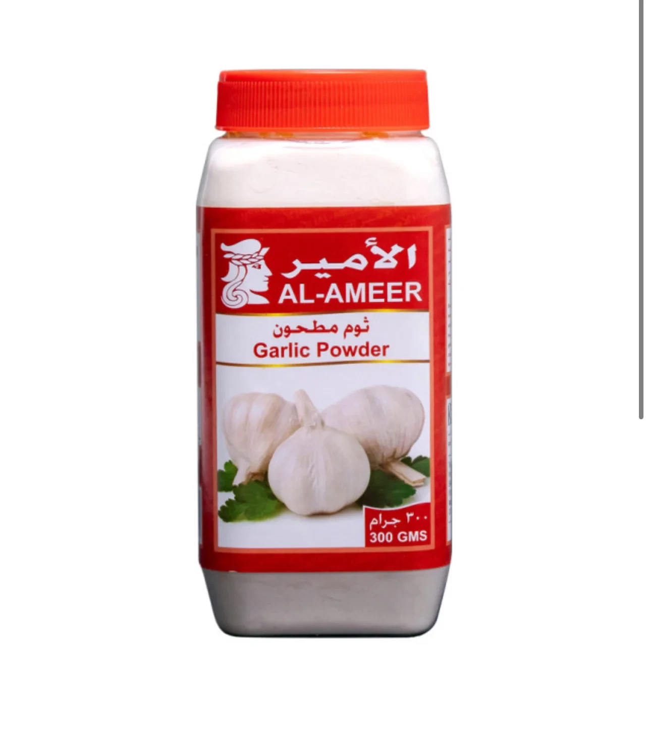 Al-Ameer Garlic Powder 300g الأمير ثوم مطحون
