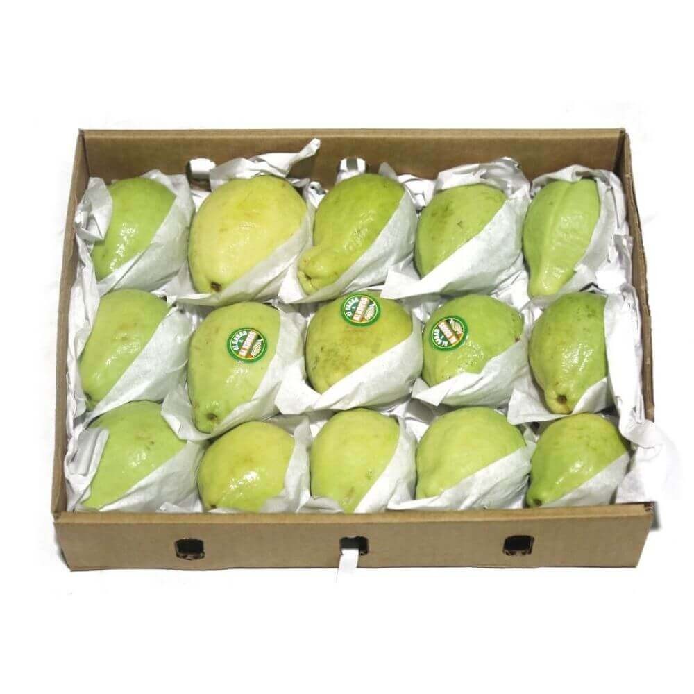 Egyptian Fresh Guava apx 2.7 kg جوافة