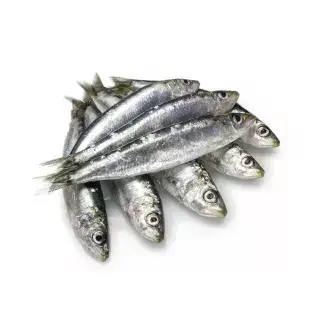Al Fouad Boneless Sardine (Salted Sardine)