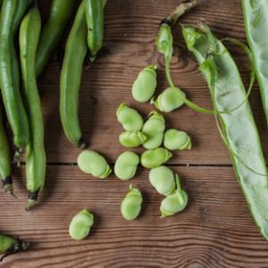 How to Cook Broad Beans UK