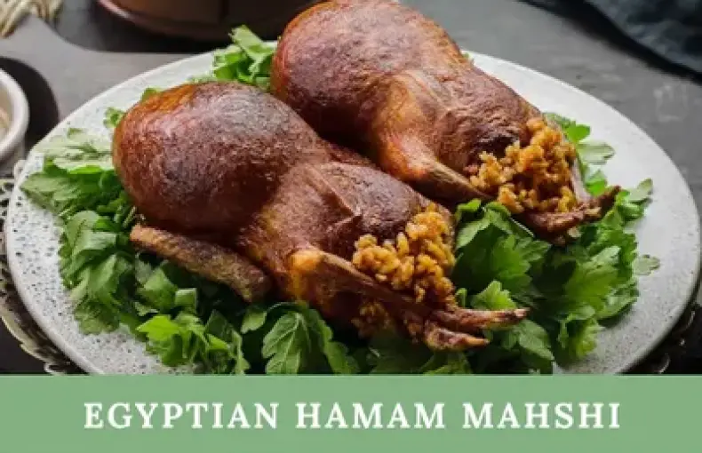 Egyptian Hamam Mahshi Recipe