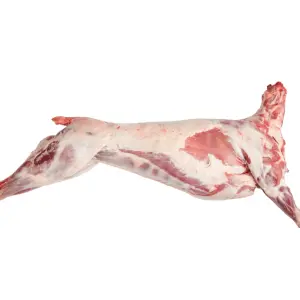 Whole Halal Lamb 12-13 kg