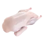 Duck Frozen Halal 1Pc