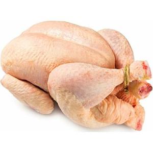 Baby Chicken Halal
