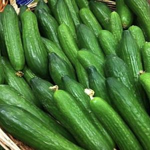 Baby Cucumbers (Per Kilo)