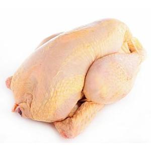 Corn Chicken Halal