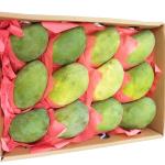 (Pre-order) Egyptian Mango Ewis - apx 2kg