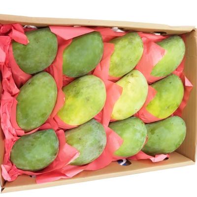 (Pre-order) Egyptian Mango Ewis - apx 2kg  مانجه مصري عويس (للحجز)