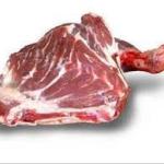 Lamb Shoulder Halal Approx. 1.6kg