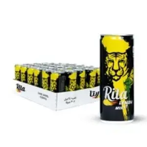240 ml x 30 pcs ريتا شراب باليمون ونعناع