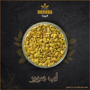 Egyptian Seeds El Orouba Roastery 250g لب سوبر