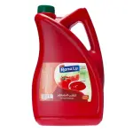 Rana Tomato Ketchup 5kg