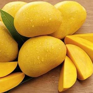 (Pre Order) Egyptian Mango Fuss Eweesy 2kg (للحجز) مانجه مصري فص