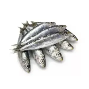 Al Fouad Boneless Sardine (Salted) | سردين الفؤاد المميز جاهزة على الأكل (خلي كيلو)